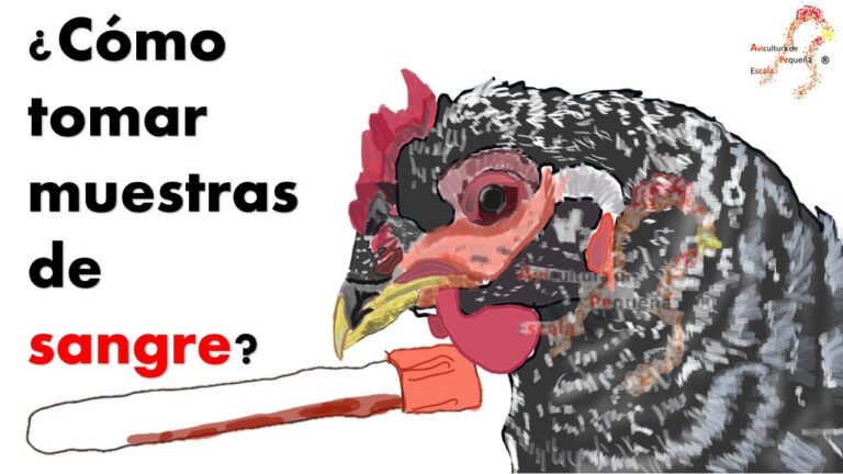 Diagn&oacute;stico Veterinario en Aves: An&aacute;lisis de Sangre Eficaz