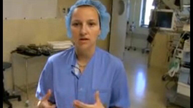 Gu&iacute;a Esencial para la Recuperaci&oacute;n Postoperatoria en H&aacute;msters