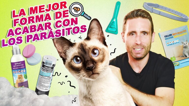 Desparasitaci&oacute;n Efectiva en Animales Raros