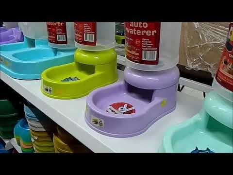 Atención Veterinaria Especializada para Peces en Acuarios Exclusivos