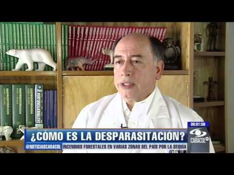 Guía de Productos Efectivos para la Desparasitación