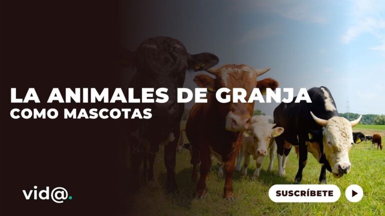 Manejo Eficiente de la Salud en Animales de Granja