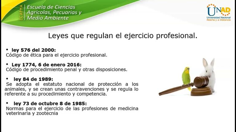 &Eacute;tica Profesional y Protecci&oacute;n Animal: Un Compromiso Esencial