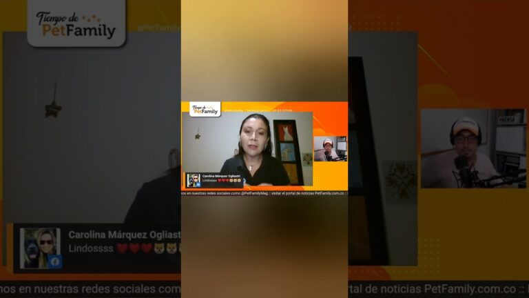 Primeros Auxilios en Emergencias Veterinarias para Mascotas Ansiosas