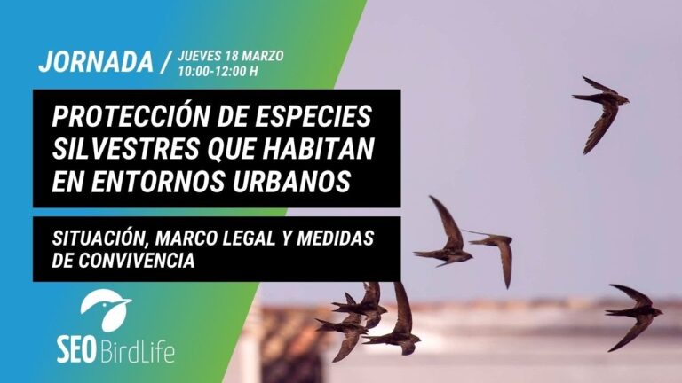 Normativas Efectivas para la Protecci&oacute;n Animal en Entornos Urbanos