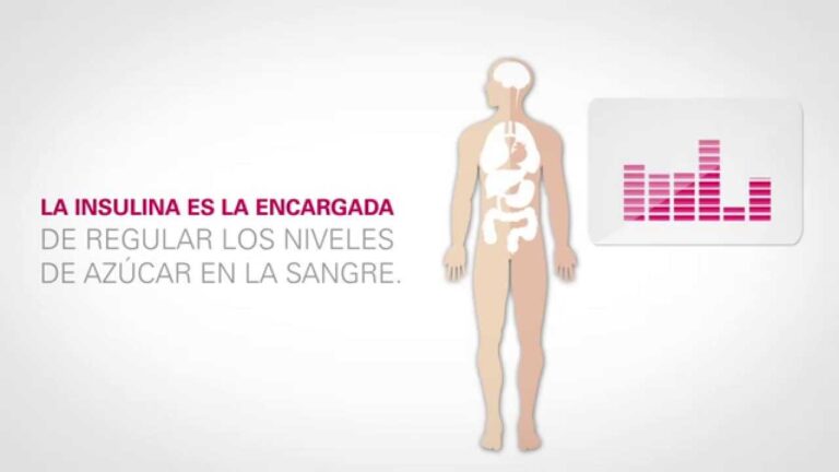 Factores de Riesgo de Diabetes en Animales