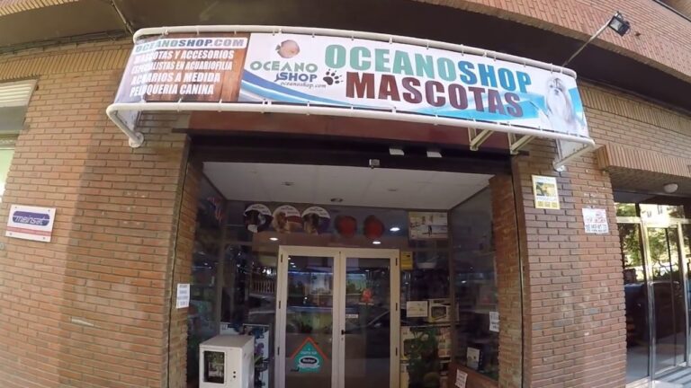 Veterinarios Especializados en Acuarios Personalizados: Cuidado y Asesor&iacute;a Expertos