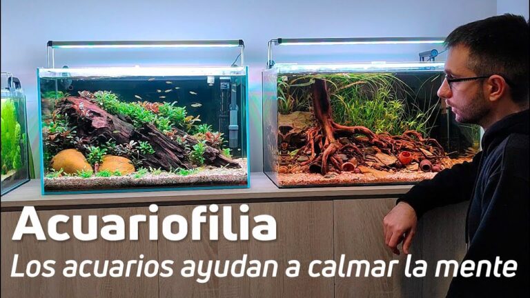 Psicolog&iacute;a Aplicada al Bienestar en Acuarios