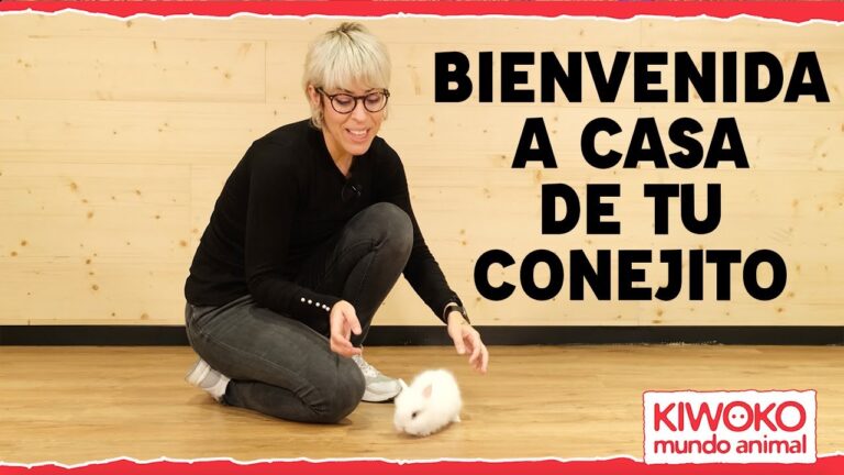 Vida Saludable con Conejos: Beneficios de Tener Mascotas en tu Estilo de Vida