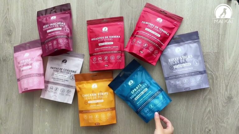 Productos para Gatos: Salud y Diversión en un Solo Lugar