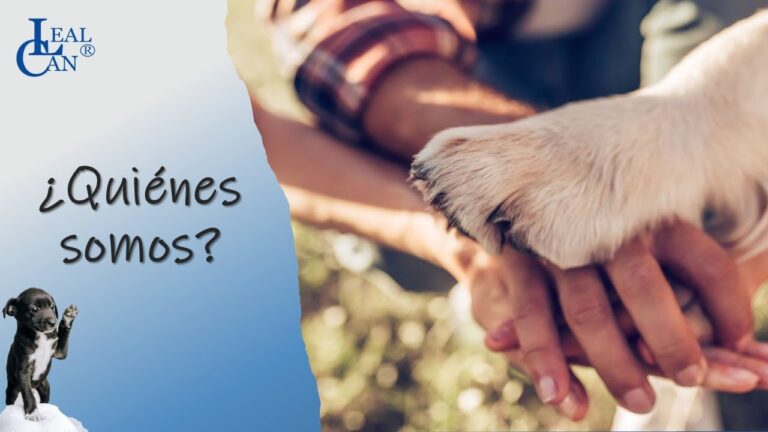 Servicios de Especialista en Comportamiento Canino a Domicilio