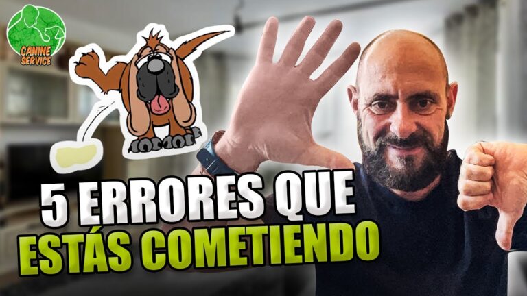 Consejos Efectivos para el Adiestramiento de Mascotas en Casa