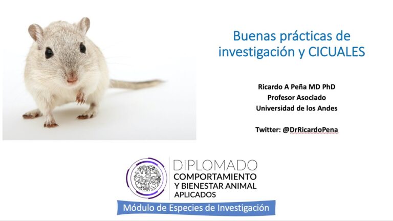 Cuidado Animal y &Eacute;tica en la Veterinaria: Un Enfoque Integral