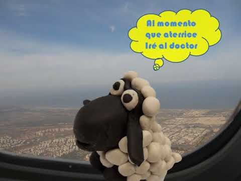 Bienestar Animal y Vacunaci&oacute;n en Especies Ex&oacute;ticas