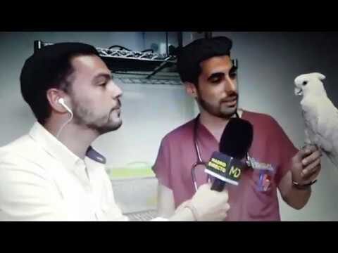 Atenci&oacute;n Veterinaria en Criaderos de Animales Ex&oacute;ticos