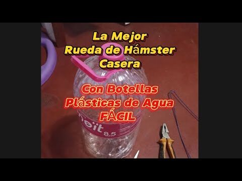 C&oacute;mo estimula la actividad mental de tu h&aacute;mster