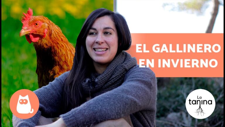 Calefacci&oacute;n: Clave en la Prevenci&oacute;n de Enfermedades en Aves