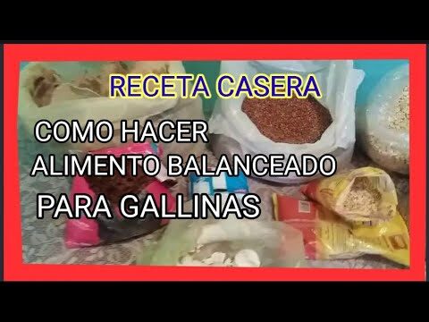 Alimentaci&oacute;n Balanceada para Aves en el Hogar