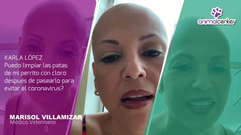 Expertos en Salud Animal Responden tus Preguntas