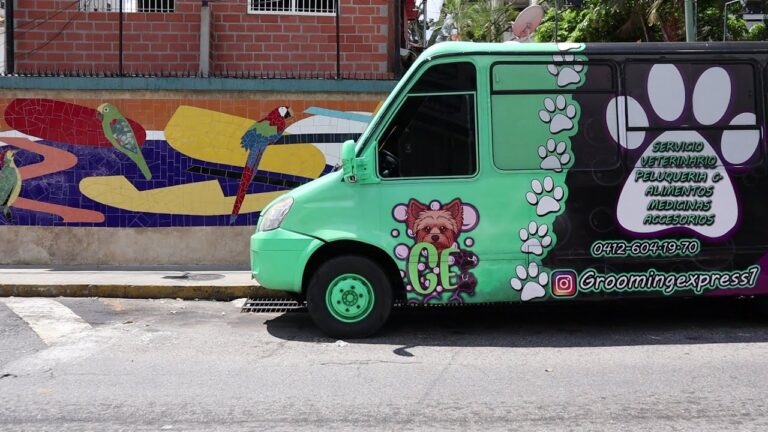 Cuidado Integral de Mascotas: Productos y Accesorios Esenciales