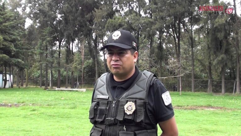 Leyes de Protecci&oacute;n para Animales Rescatados