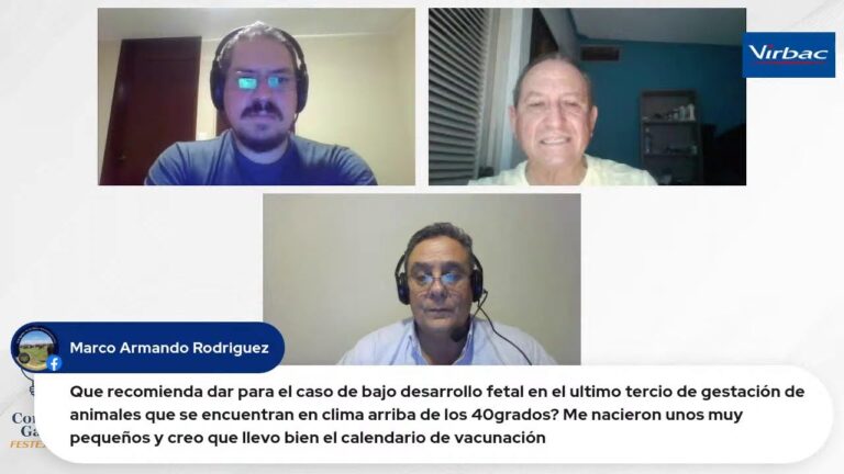 Consejos Veterinarios para la Reproducción Animal