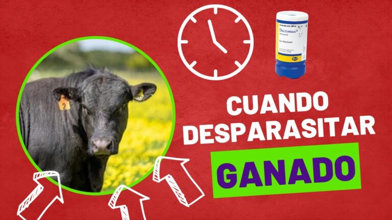 La importancia de la desparasitaci&oacute;n en animales de granja