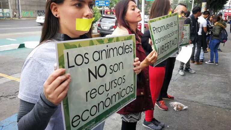 Estr&eacute;s en Animales Ex&oacute;ticos en Cautiverio: Causas y Soluciones