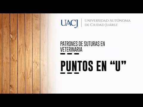 T&eacute;cnicas Quir&uacute;rgicas Efectivas para Tejido Subcut&aacute;neo en Mascotas