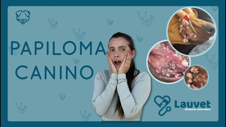 Revelaciones Ocultas: La Conexi&oacute;n entre la Evoluci&oacute;n Animal y la Veterinaria