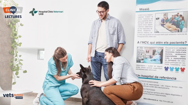 Terapias Alternativas: Conocimientos de Profesionales Veterinarios