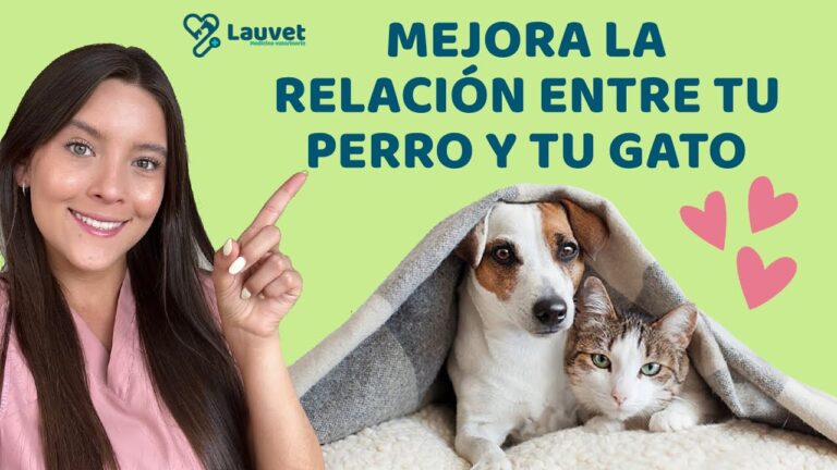 Innovaciones en Medicina Veterinaria: Aplicaciones de Realidad Mixta