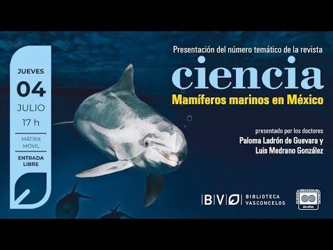 Historias Fascinantes de Veterinaria y Mamíferos