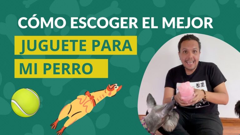 Juguetes Recomendados por Veterinarios para el Bienestar de tus Mascotas