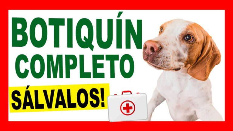 Medicamentos Esenciales para la Salud de Tu Perro