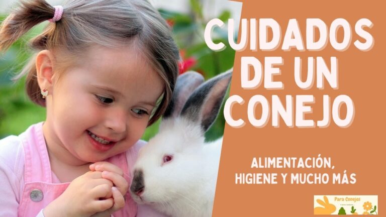 Gu&iacute;a para la Seguridad y Bienestar de Conejos en Casa