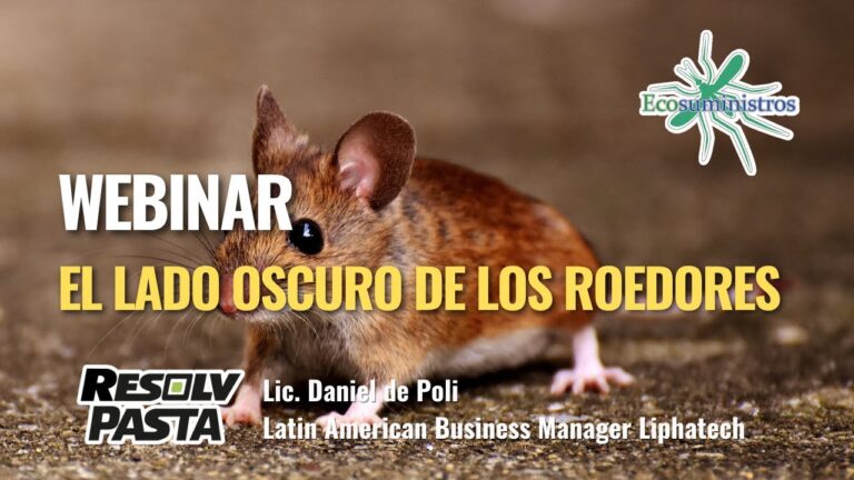 Estrategias Efectivas para el Control de Pulgas en H&aacute;msters