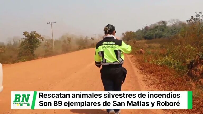 Atenci&oacute;n Veterinaria Esencial para Reptiles Rescatados