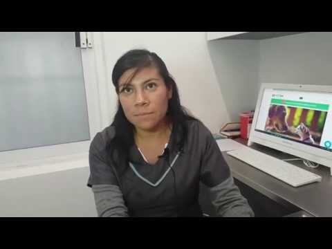 Consejos Esenciales para Adoptar Animales Dom&eacute;sticos