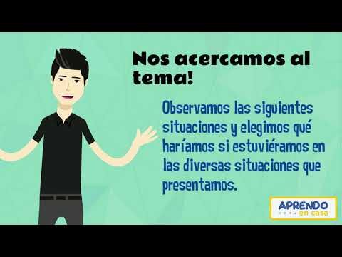 Consejos para una Adopci&oacute;n Responsable y Respetuosa