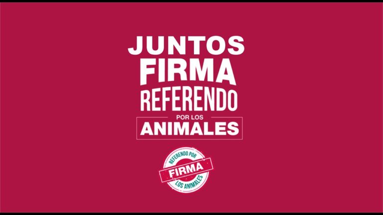 Prohibici&oacute;n de Actos Crueles Hacia los Animales: Un Llamado a la Conciencia