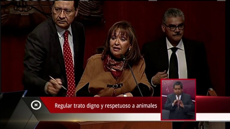 Legislaci&oacute;n y Trato Digno a los Animales