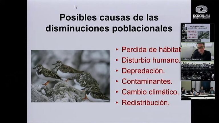 Psicolog&iacute;a Animal: Claves para el Cuidado de Aves