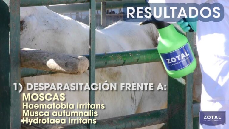 Estrategias Efectivas para el Manejo de Desparasitaci&oacute;n en Caballos de Granja