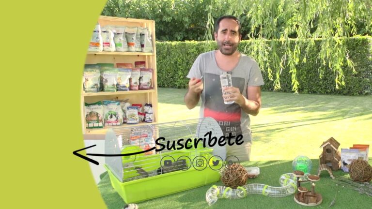 Gu&iacute;a de H&aacute;bitos Alimenticios Saludables para tu H&aacute;mster