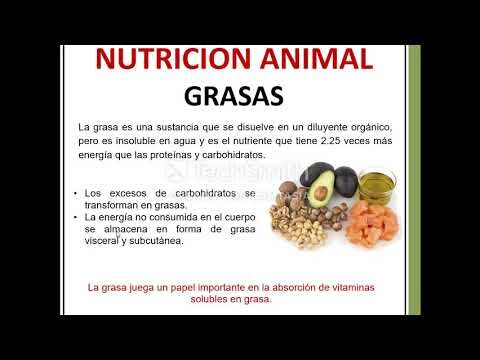 La importancia de la nutrición animal en el rendimiento físico