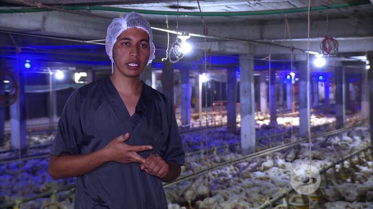 Normas de Bioseguridad para la Higiene en Avicultura