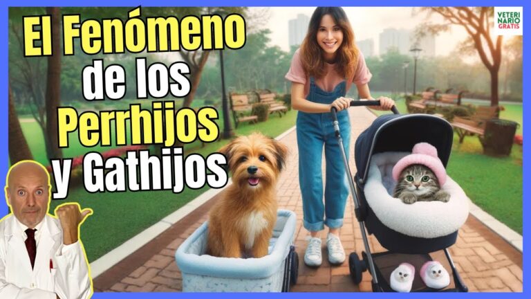 Veterinaria y Comportamiento Animal: Conexiones Esenciales