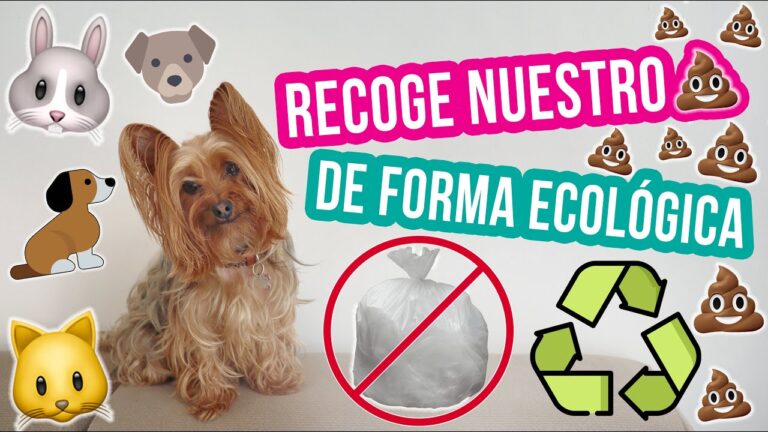 Bolsas de Desechos: Esenciales en la Rutina de Cuidado de Mascotas