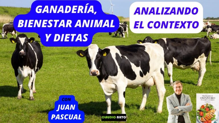 Impacto de la Mala Alimentación en el Comportamiento Animal